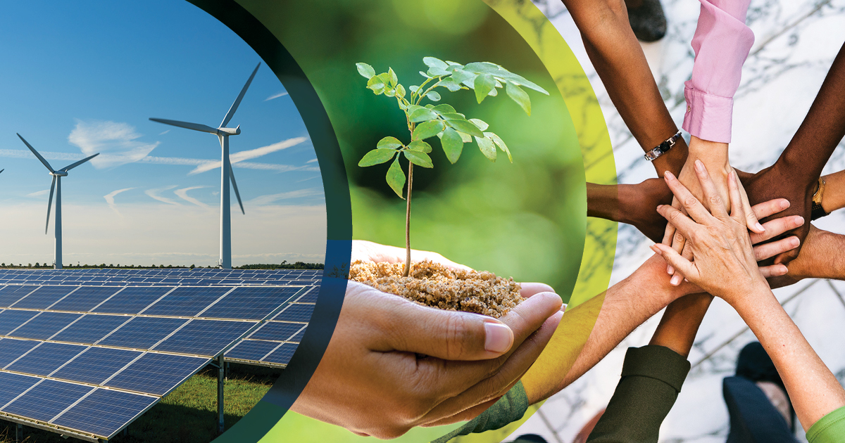 SustainFuture NGO Website